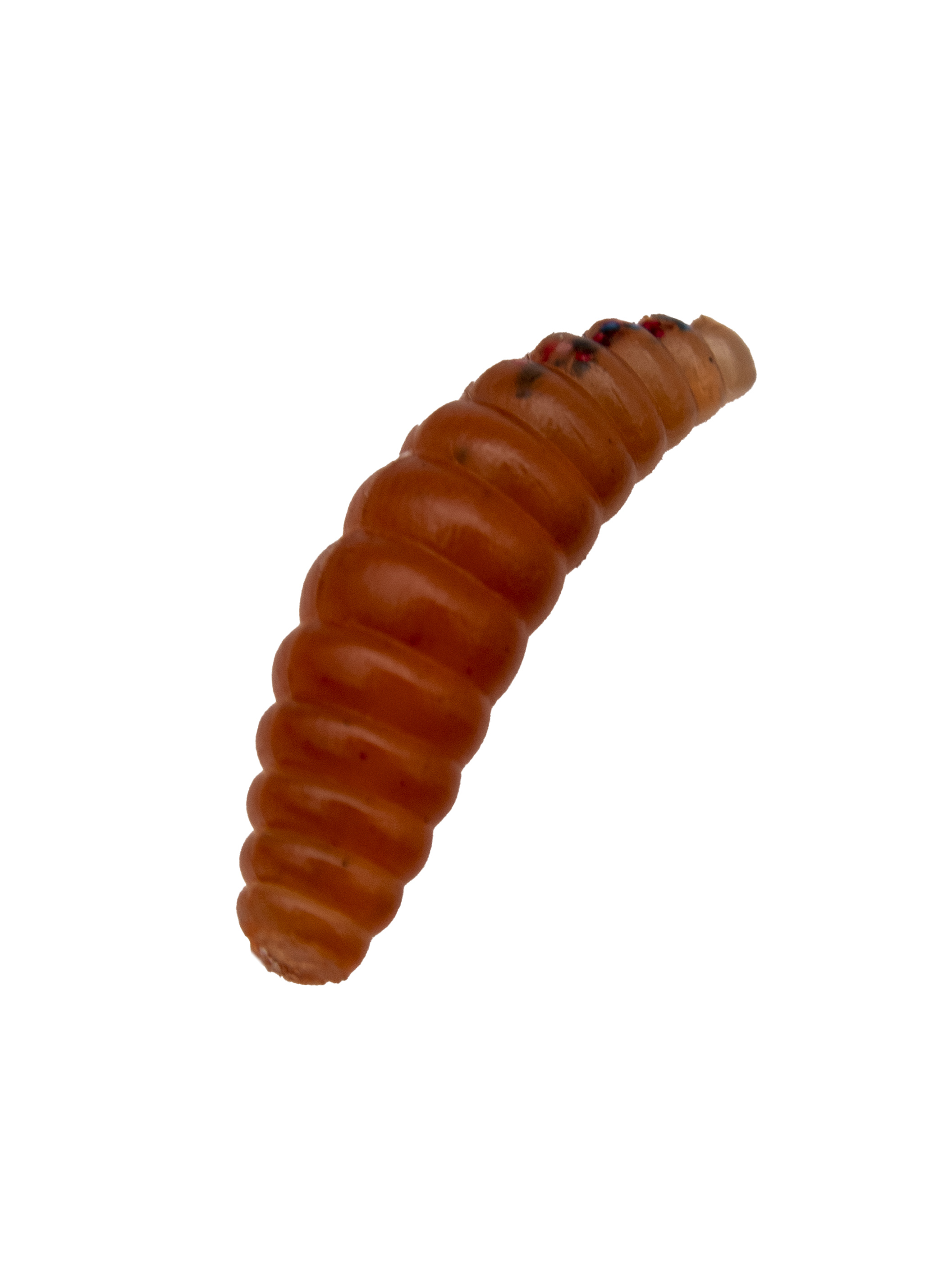 картинка Приманка силиконовая AWEES Maggot 1,4" (уп.8шт) цв.светло-бордовый от магазина Спортсмен