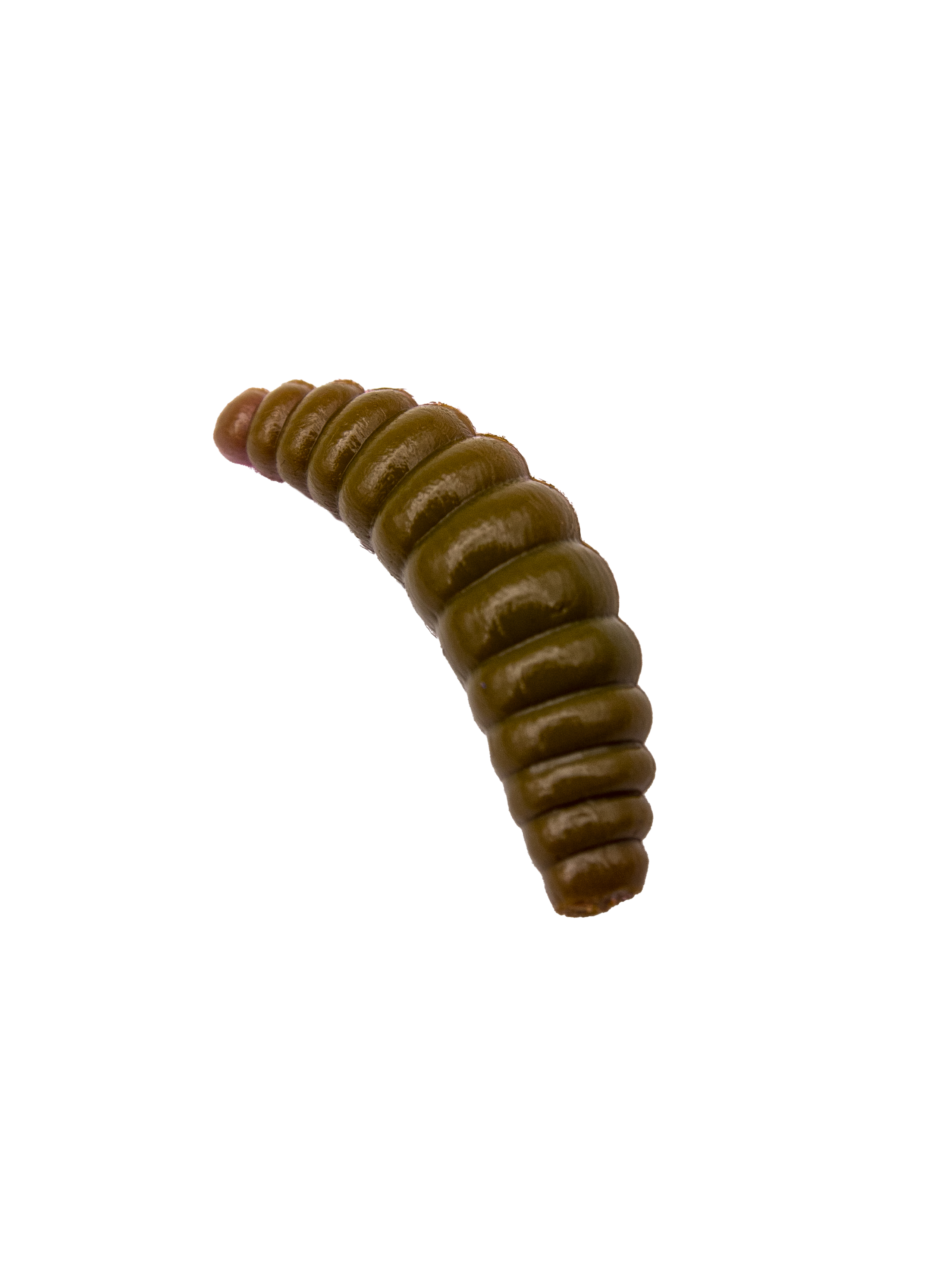 Приманка силиконовая AWEES Maggot 1,4" (уп.8шт) цв.коричневый