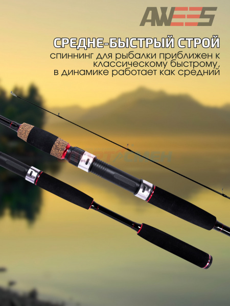***Спиннинг штекерный AWEES DarkSide***