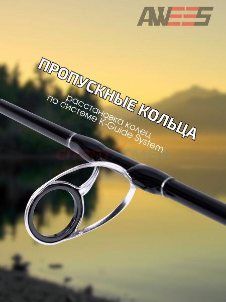 Спиннинг штекерный AWEES Silver Sword