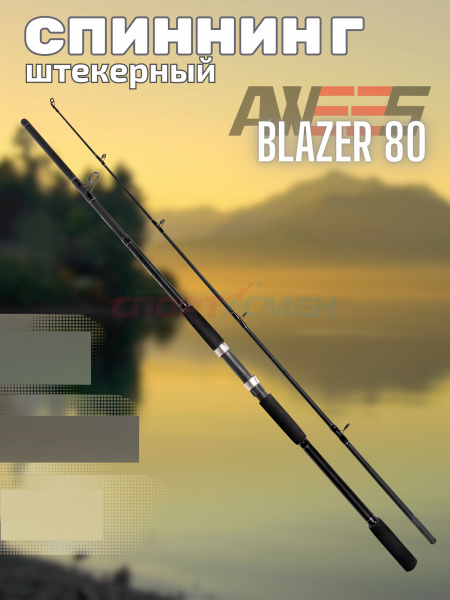 Спиннинг штекерный AWEES Blazer 80