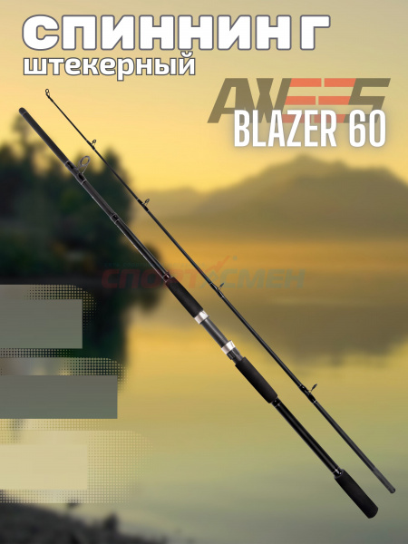 Спиннинг штекерный AWEES Blazer 60