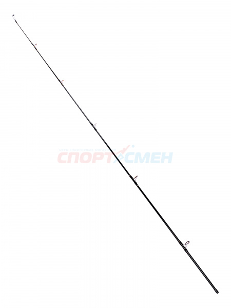Спиннинг штекерный AWEES Silver Sword