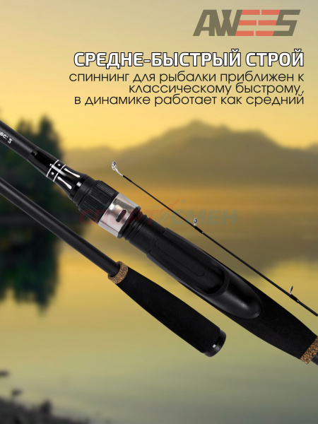 Спиннинг штекерный AWEES Black Arrow