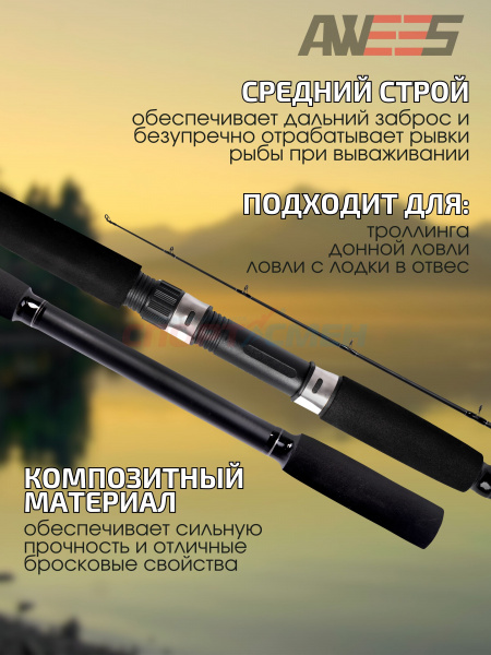 Спиннинг штекерный AWEES Blazer 25